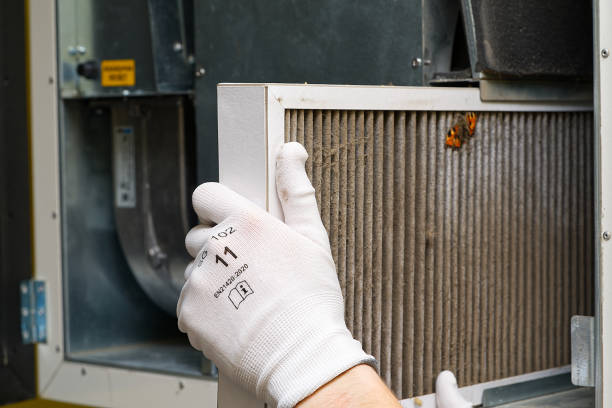 Best Affordable Duct Cleaning Services  in Tice, FL